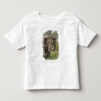 Indian Asian Elephant Greeting Toddler T-Shirt