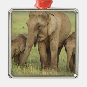 Indian Asian Elephant & Young Ones Metal Tree Decoration