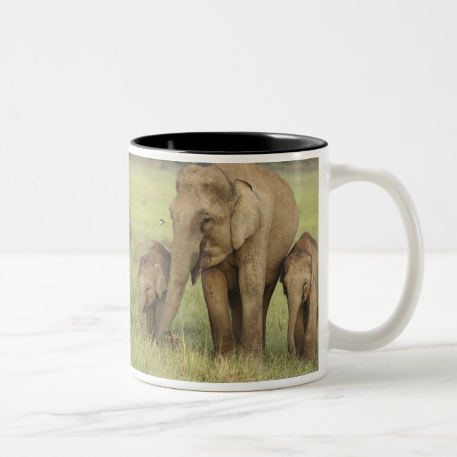 Indian Asian Elephant & Young Ones Two-Tone Coffee Mug (Right)