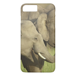 Indian Asian Elephants Case-Mate iPhone Case