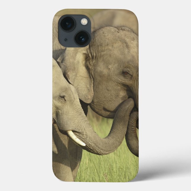 Indian Asian Elephants Case-Mate iPhone Case (Back)