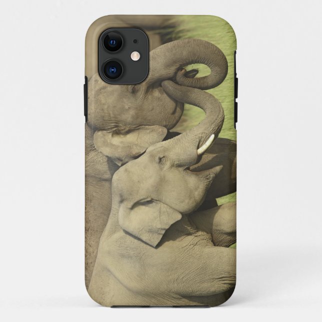 Indian Asian Elephants Case-Mate iPhone Case (Back)