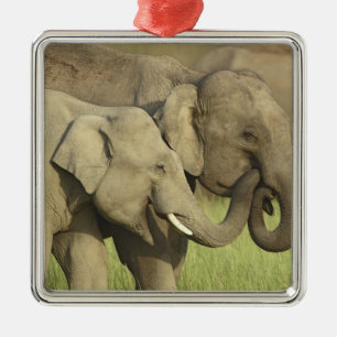 Indian Asian Elephants Metal Tree Decoration