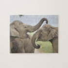 Indian Asian Elephants play Fighting