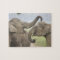 Indian Asian Elephants play Fighting
