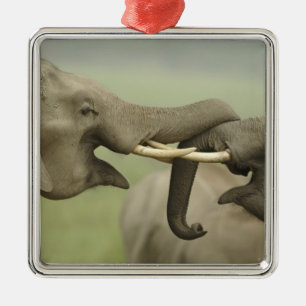 Indian Asian Elephants play Fighting Metal Tree Decoration