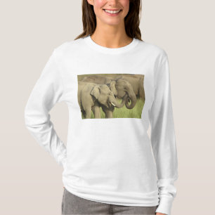 Indian Asian Elephants T-Shirt