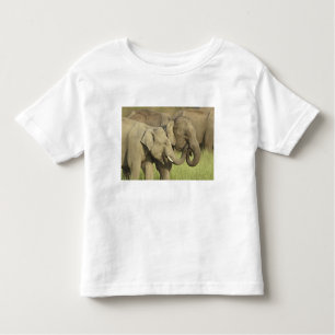 Indian Asian Elephants Toddler T-Shirt