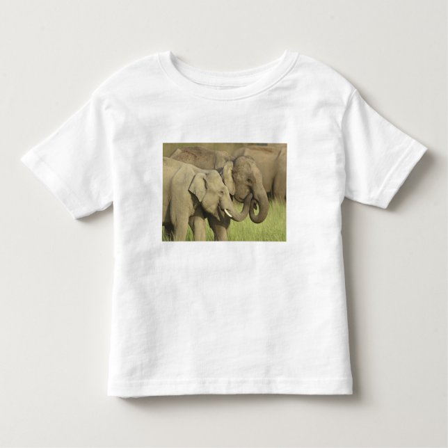Indian Asian Elephants Toddler T-Shirt (Front)