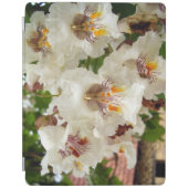 Indian Bean Tree Flowers iPad Cover (Front)
