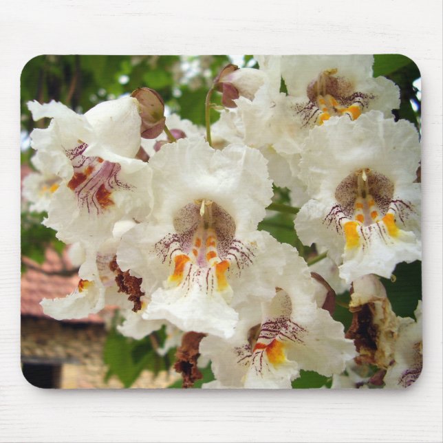 Indian Bean Tree Flowers Mouse Mat (Front)