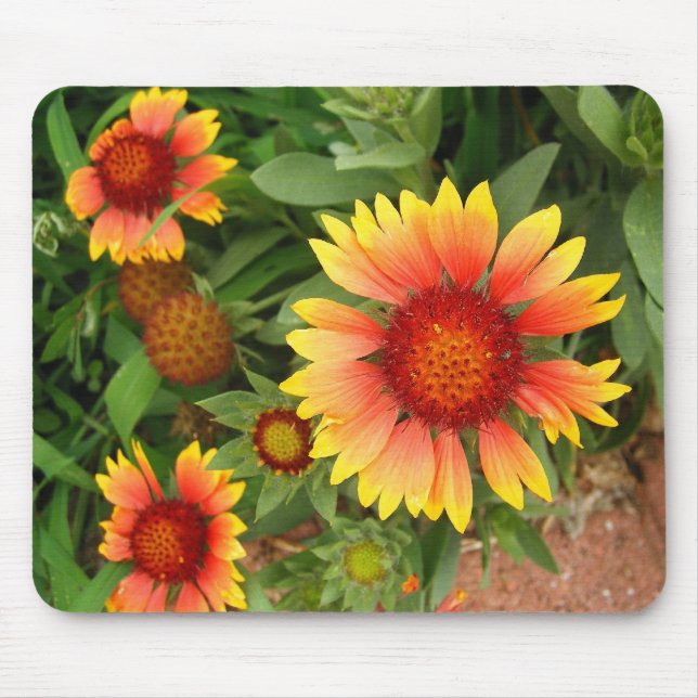 Indian Blanket Mouse Pad (Front)