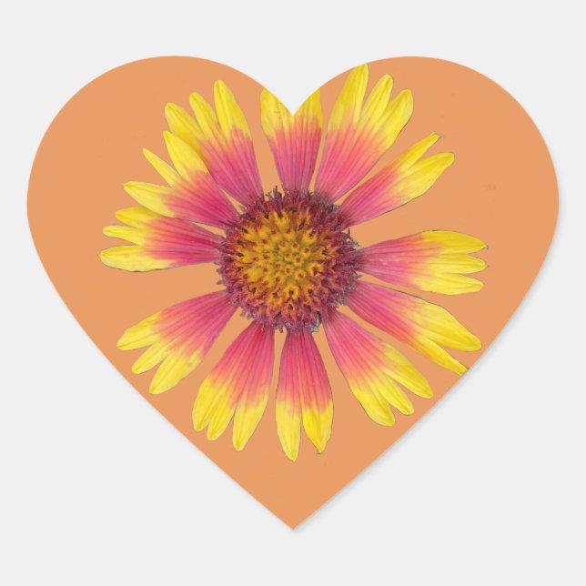 Indian Blanket Sticker (Front)