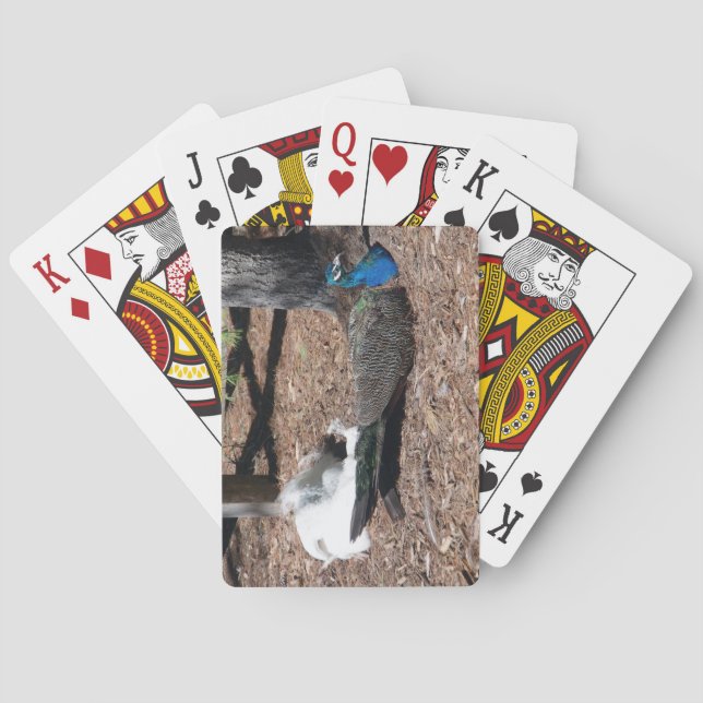 Indian Blue and White Pheasants playing cards (Back)