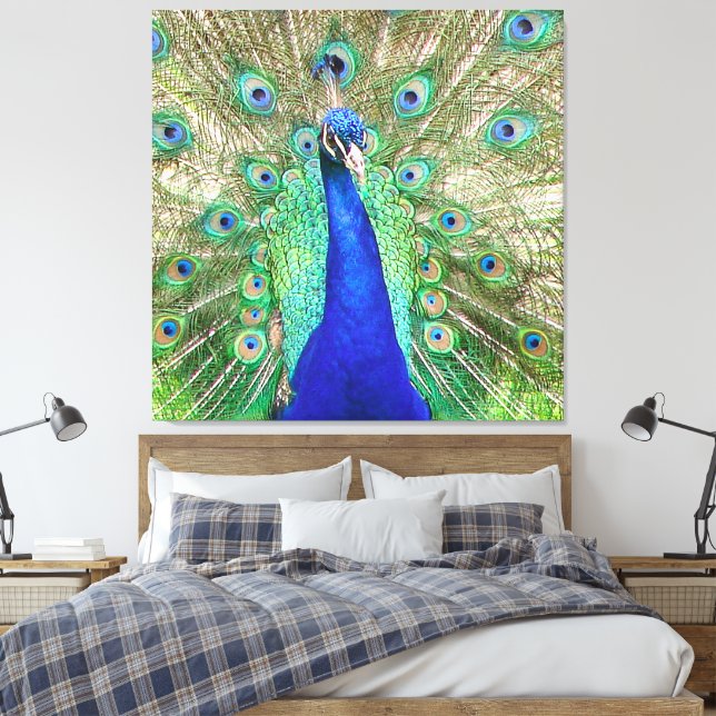 Indian Blue Peacock Canvas Print (Insitu(Bedroom))
