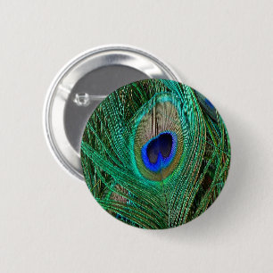 Indian Blue Peacock Feather 6 Cm Round Badge