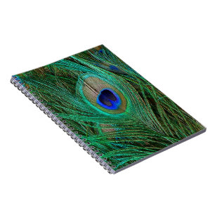 Indian Blue Peacock Feather Notebook