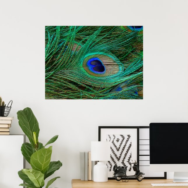 Indian Blue Peacock Feather Poster Print (Home Office)