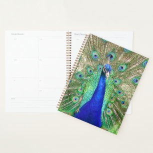 Indian Blue Peacock Planner