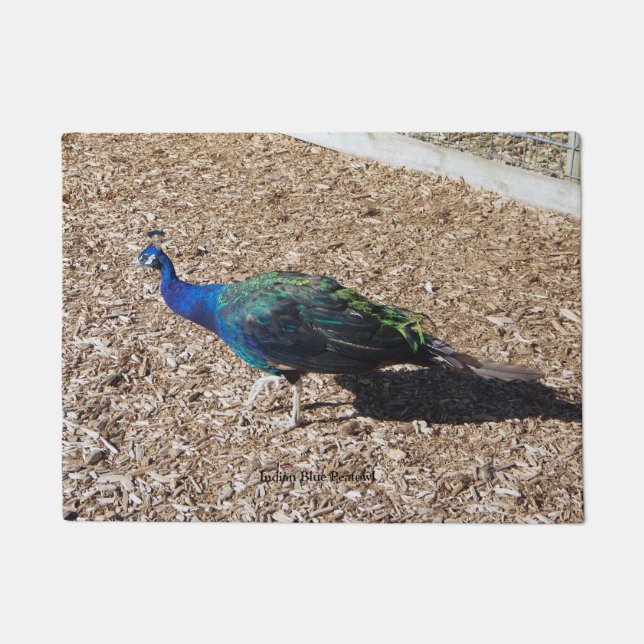 Indian Blue Peafowl door mat (Front)