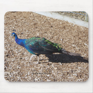 Indian Blue Peafowl mousepad