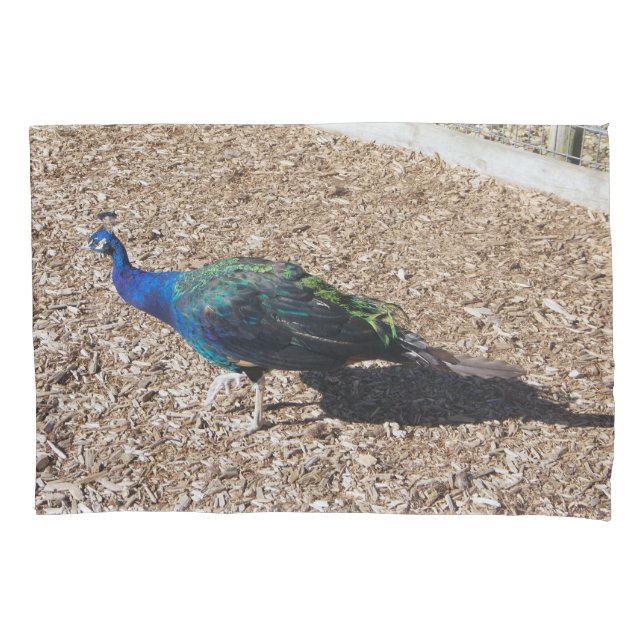 Indian Blue Peafowl pillowcase (Front)