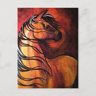 Indian Buckskin War Horse Postcard