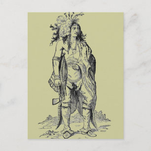 Indian Chief Poscard Postcard