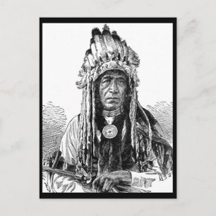 Indian Chief Postcard
