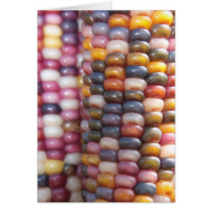 Indian Corn