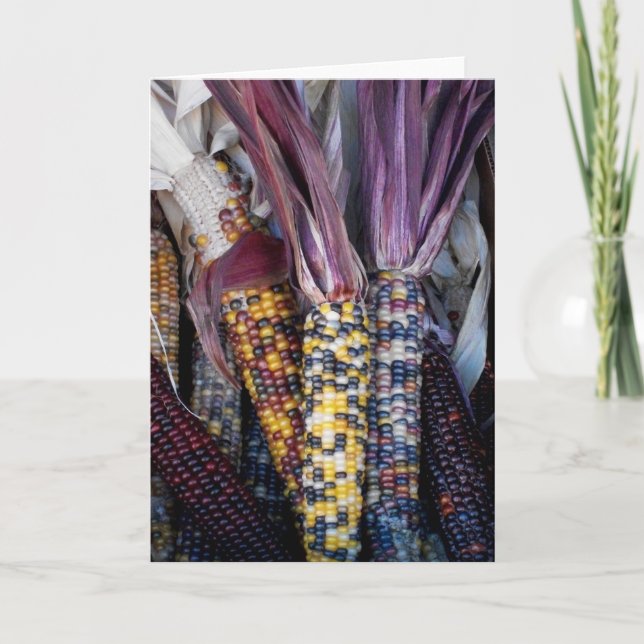 'Indian Corn' Blank Greeting Card (Front)