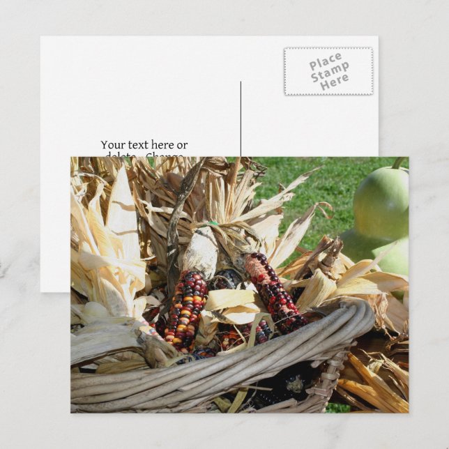 Indian Corn In Basket Nature Personalised Postcard (Front/Back)