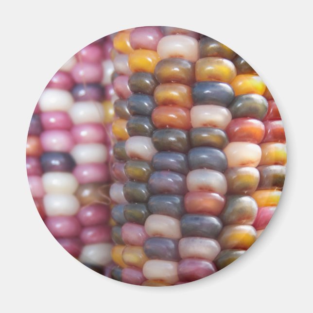 Indian Corn Magnet (Front)