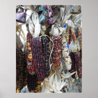 Indian Corn Poster