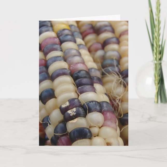 Indian Corn, Thanksgiving Holiday Card (Front)