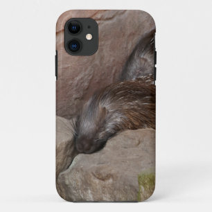 Indian Crested Porcupines Case-Mate iPhone Case