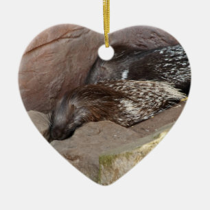 Indian Crested Porcupines Ceramic Tree Decoration
