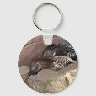 Indian Crested Porcupines Key Ring