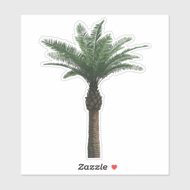 Indian Date Palm Tree Sticker (Sheet)