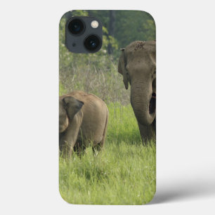 Indian Elephant family coming out of iPhone 13 Case