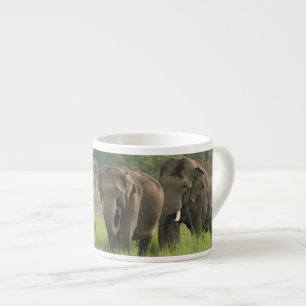 Indian Elephant Family Espresso Cup