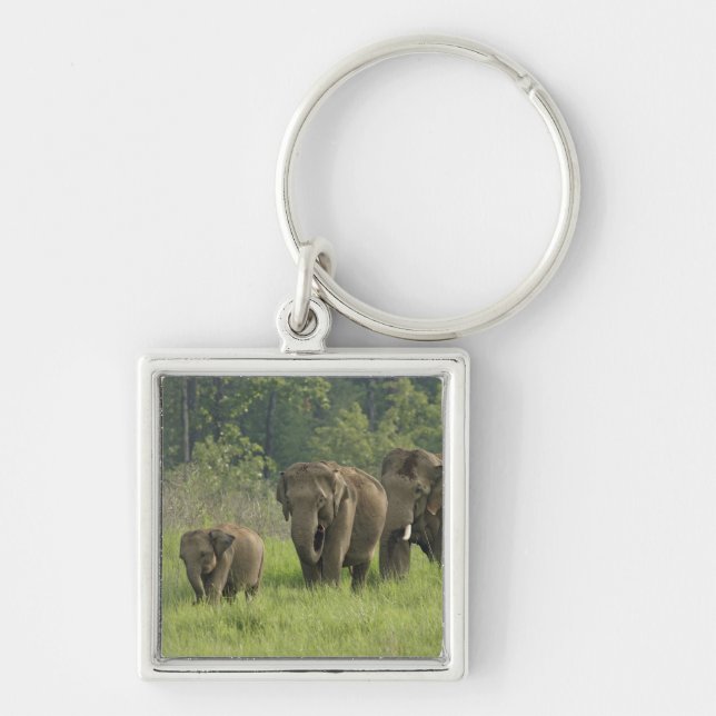 Indian Elephant Family Key Ring (Front)