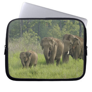 Indian Elephant Family Laptop Sleeve