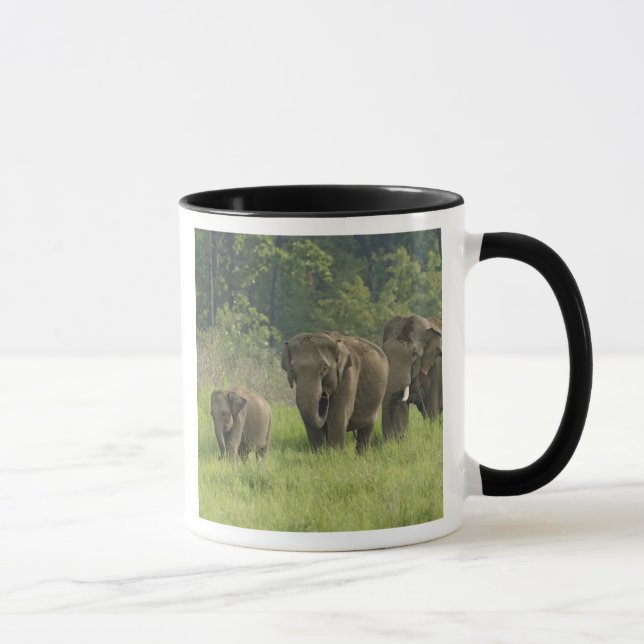 Indian Elephant Family Mug (Right)