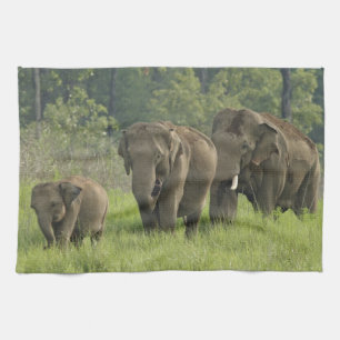 Indian Elephant Family Tea Towel