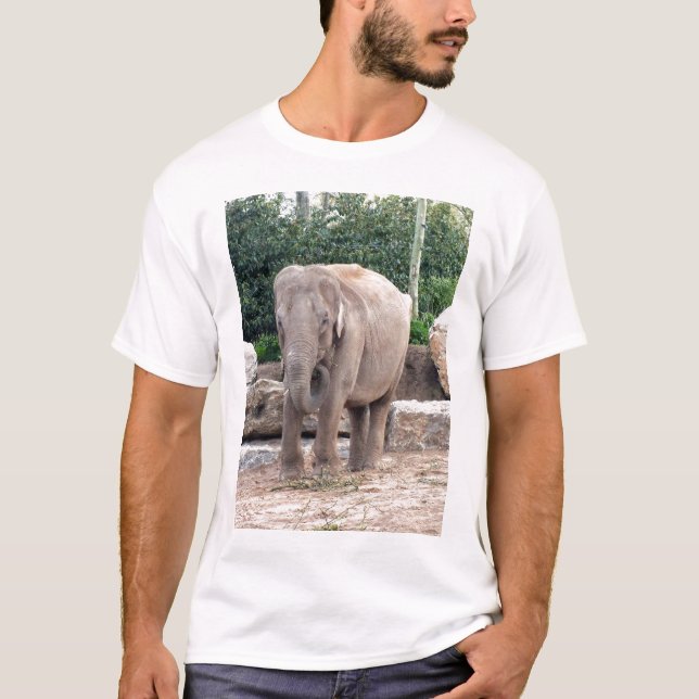 Indian elephant feeding T-Shirt (Front)