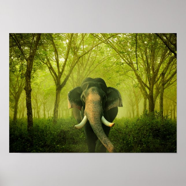 Indian Elephant Stunning Large Mammal Green Forest Poster (Front)