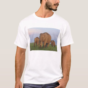 Indian Elephants in the Grassland T-Shirt