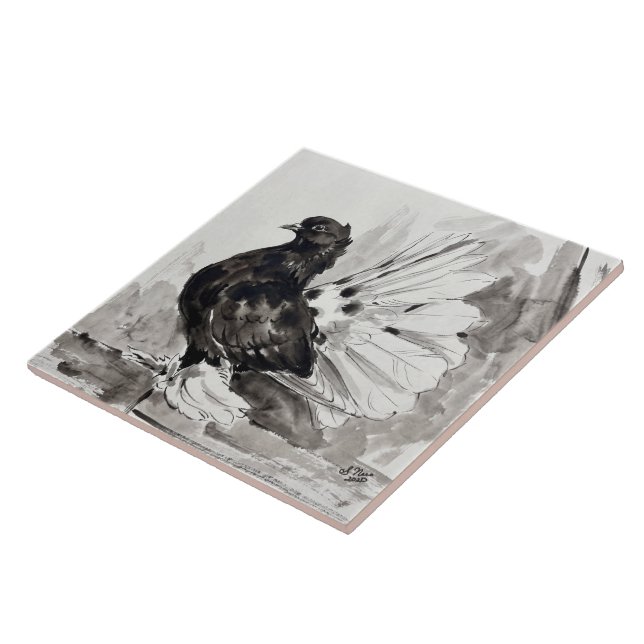 Indian Fantail Pigeon Eyeliner Hen Tile (Side)