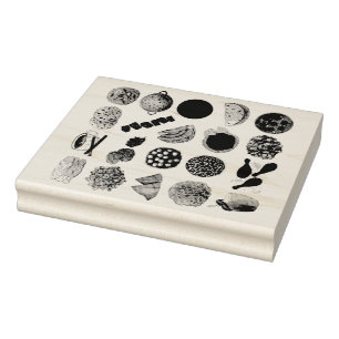 Indian Foods Dishes Cuisine of India Illustration Rubber Stamp